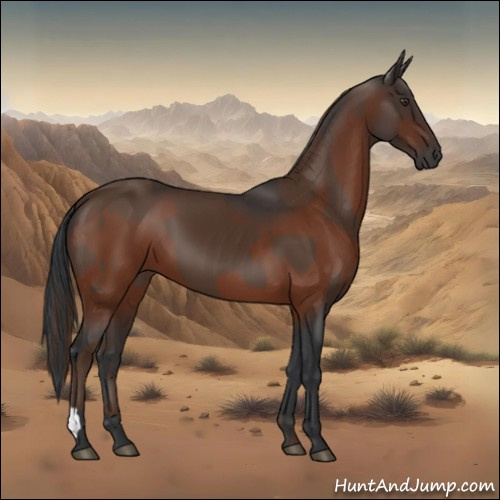 Horse Color:Liver Chestnut  and Brown 