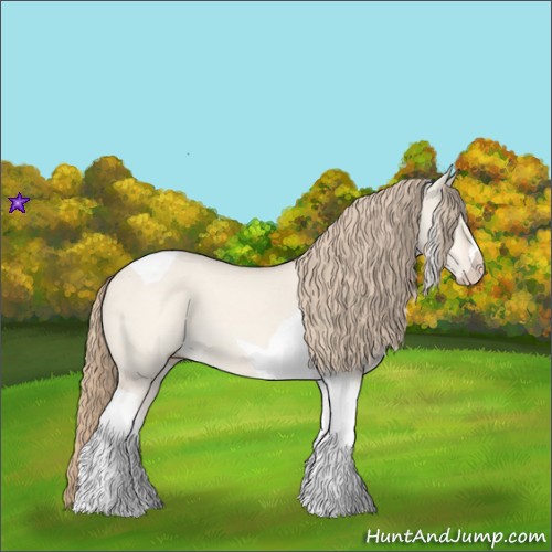 Horse Color:Perlino Dun Tobiano 