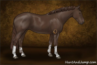 Horse Color:Liver Chestnut  and Liver Chestnut 
