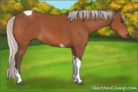 Horse Color:Silver Bay Tobiano