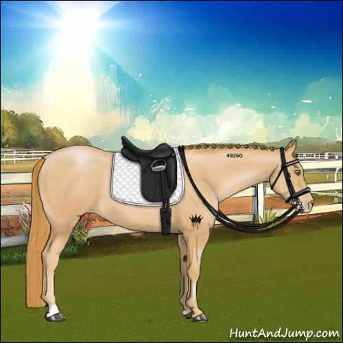 Horse Color:Chestnut Pearl