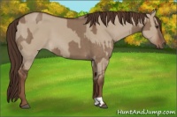 Horse Color:Liver Red Dun  and Liver Red Dun 