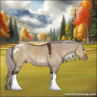 Horse Color:Silver Brown Dun Tobiano Frame 