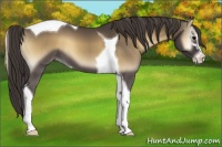 Horse Color:Smoky Blue Onyx Sabino Tobiano 