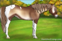 Horse Color:Red Onyx Sabino Tobiano 