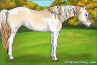 Horse Color:Red Dun Onyx Tobiano 