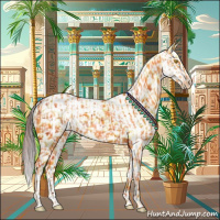 Horse Color:Amber Champagne Sabino Tobiano Appaloosa  and Amber Champagne Sabino Tobiano Appaloosa 