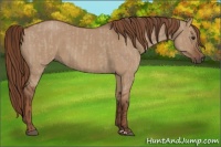 Horse Color:Liver Red Dun  and Red Dun 