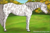 Horse Color:Platinum Chestnut Ice Tobiano Near Leopard 