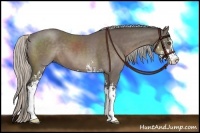 Horse Color:Silver Black Sabino 