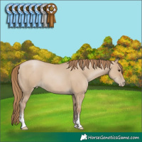 Horse Color:Grullo Pearl Sabino