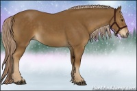 Horse Color:Chocolate Palomino 