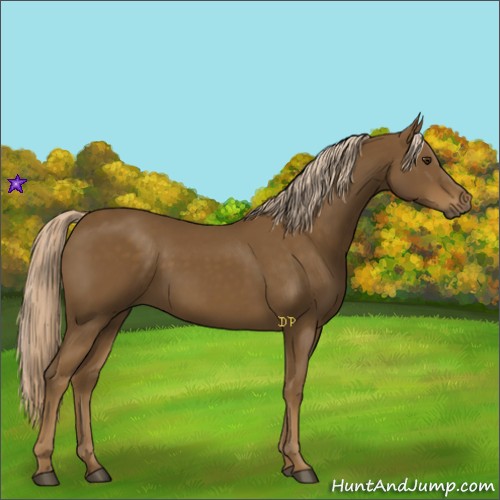 Horse Color:Chocolate Palomino