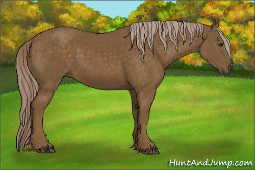 Horse Color:Chocolate Palomino 