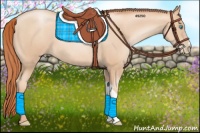 Horse Color:Sable Champagne Pearl 