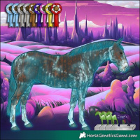 Horse Color:Thunderstruck White Spotted Chestnut  and White Spotted Black 