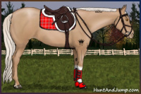 Horse Color:Silver Black Pearl Tobiano