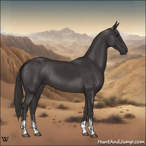 Horse Color:Smoky Black  and Smoky Black 
