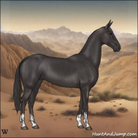 Horse Color:Smoky Black and Smoky Black