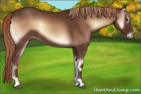 Horse Color:Red Onyx 