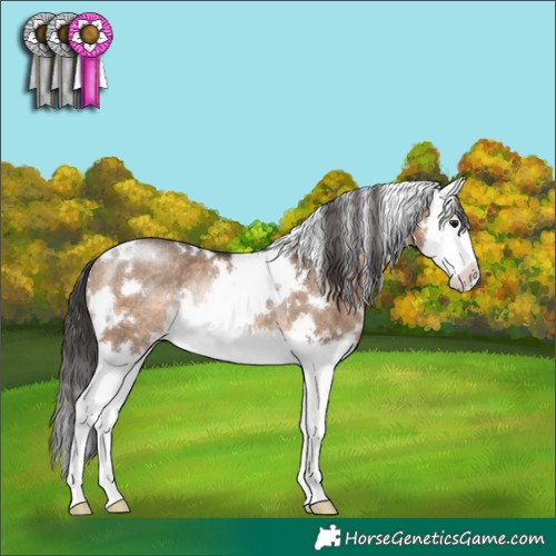 Horse Color:White Spotted Brown Dun Splash Rabicano