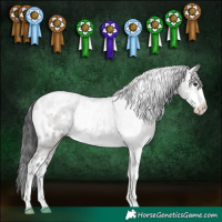 Horse Color:White Spotted Grullo Sabino Rabicano