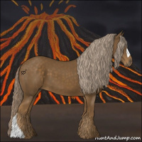 Horse Color:Chocolate Palomino 