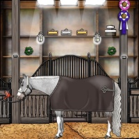 Horse Color:Liver Chestnut Mushroom