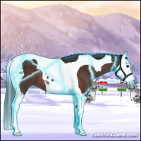 Horse Color:Thunderstruck Brown Splash Tobiano 