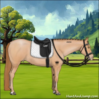 Horse Color:Bay Roan Pearl 