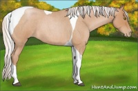 Horse Color:Silver Bay Roan Pearl Tobiano 