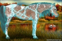 Horse Color:Thunderstruck Buckskin Ice Sabino Tobiano