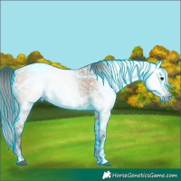 Horse Color:Gray Thunderstruck Bay Roan and Thunderstruck Bay Ice Sabino