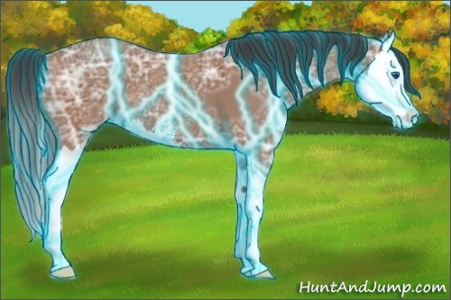 Horse Color:Thunderstruck Bay Ice Roan Sabino Splash 