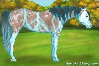 Horse Color:Thunderstruck Bay Ice Roan Sabino Splash