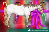 Horse Color:Red Roan Appaloosa