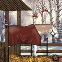 Horse Color:Red Dun Splash  and Red Dun Splash Rabicano 