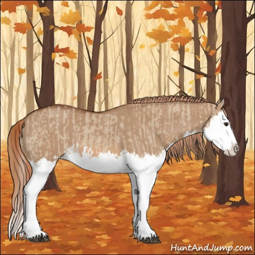 Horse Color:Red Dun Splash  and Red Dun Splash 