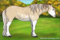 Horse Color:Red Dun Splash  and Palomino Dun Splash 