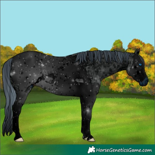 Horse Color:ERROR: UNKNOWN ANOMALY