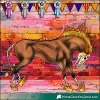 Horse Color:Bay 