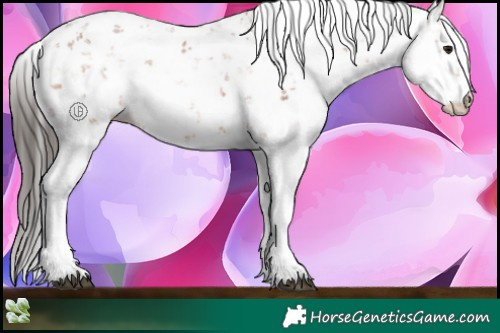 Horse Color:Bay Sabino 