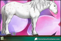 Horse Color:Bay Sabino 