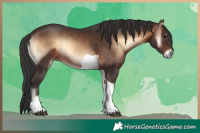 Horse Color:Brown Onyx Tobiano Rabicano 