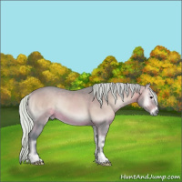 Horse Color:Watercolor Silver Brown Onyx Rabicano 