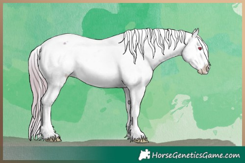 Horse Color:Watercolor Brown Chinchilla Onyx Tobiano Appaloosa Rabicano