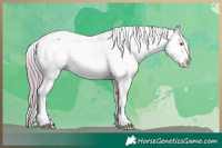 Horse Color:Watercolor Brown Chinchilla Onyx Tobiano Varnish Rabicano 