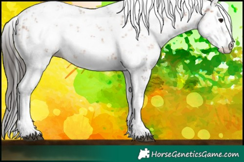 Horse Color:Bay Sabino 