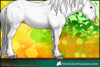 Horse Color:Brown Sabino 