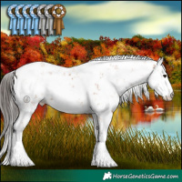 Horse Color:Bay Sabino 